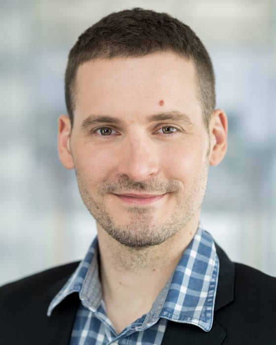 Michael Maier, Systemplanung